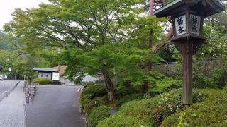20170618_085546.jpg